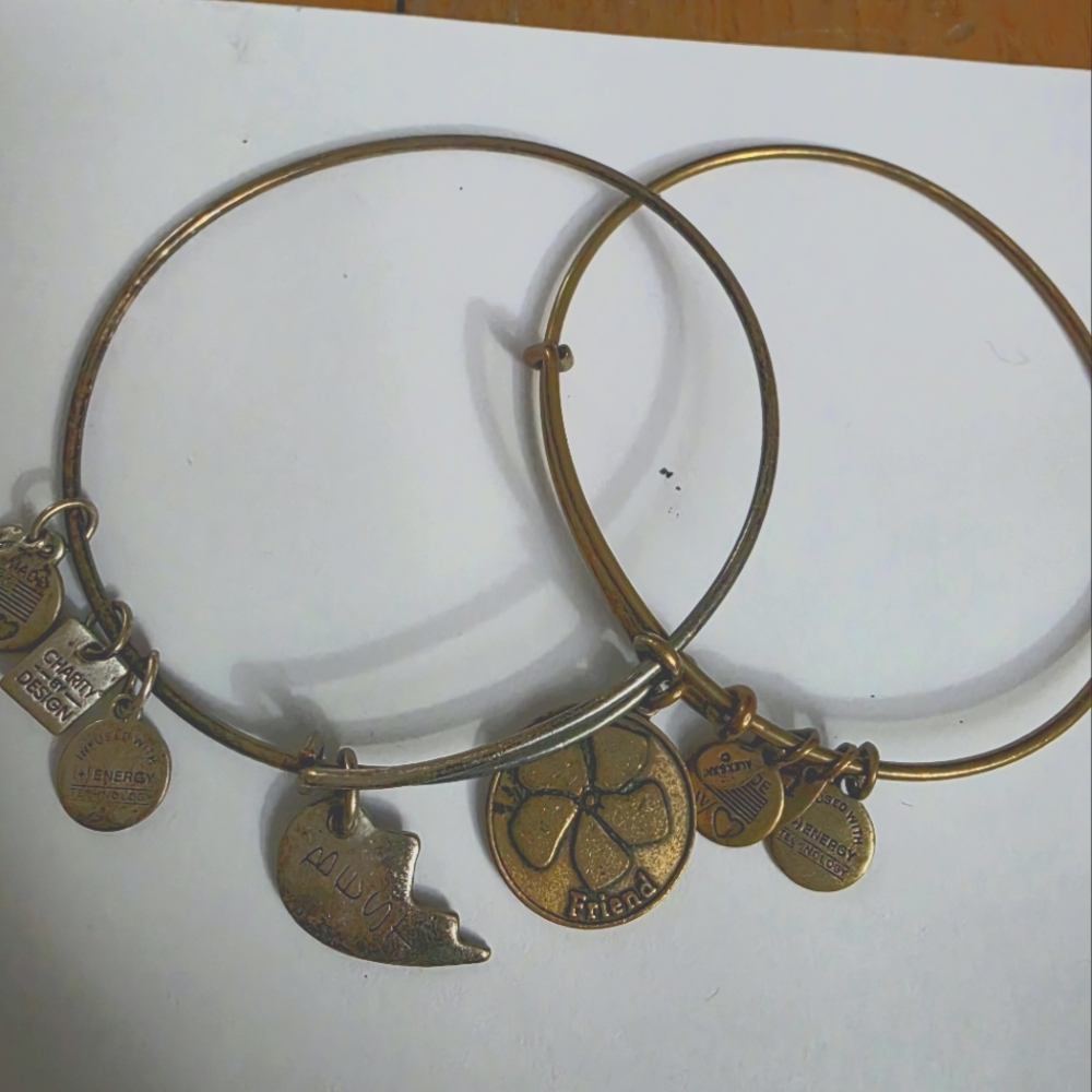 Alex & Ani Best Friend Charm Bangles